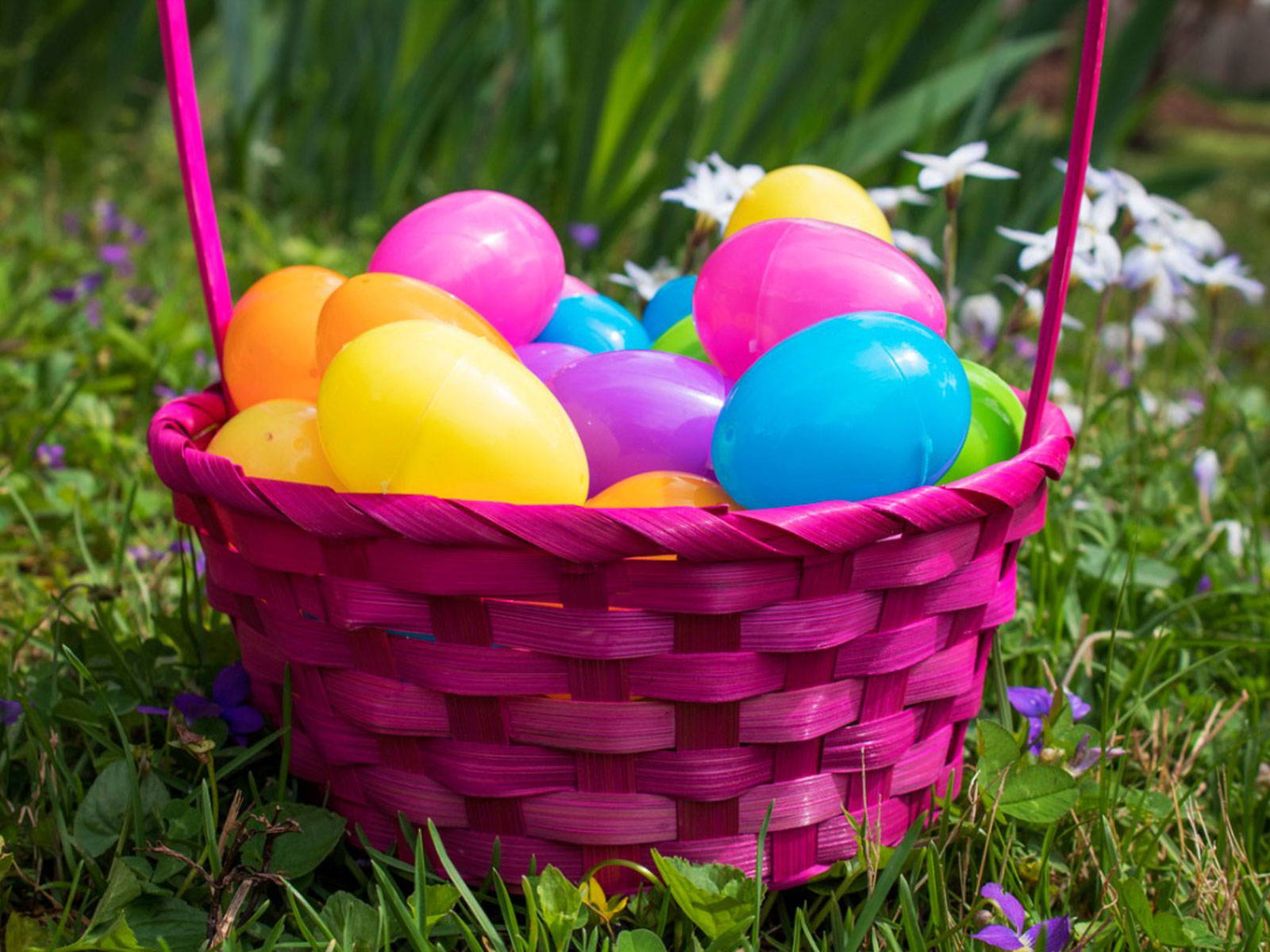 EGG-XTRAVAGANT SUCCESS FOR YORKSHIRE CHILDREN’S CHARITY 